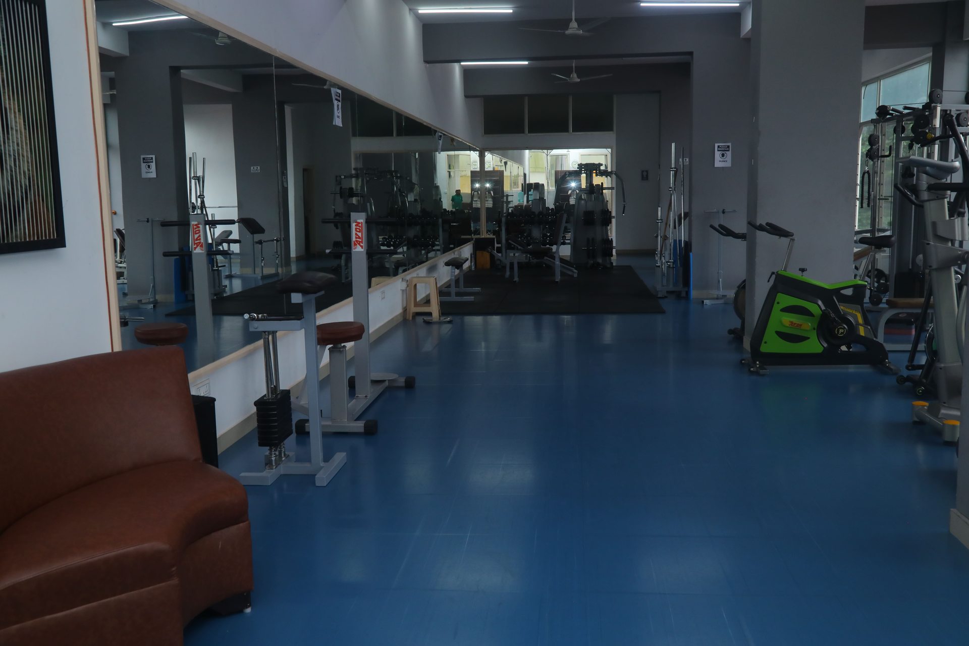 Wellness and fitness